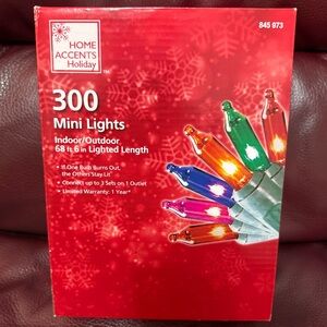 Home Accents 300 Mini Lights indoor/outdoor 68 ft 6in Lighted Length